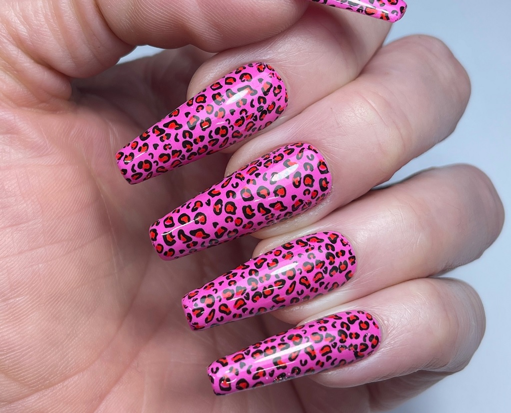 Pink Leopard Prints